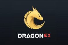 Logo Dragonex